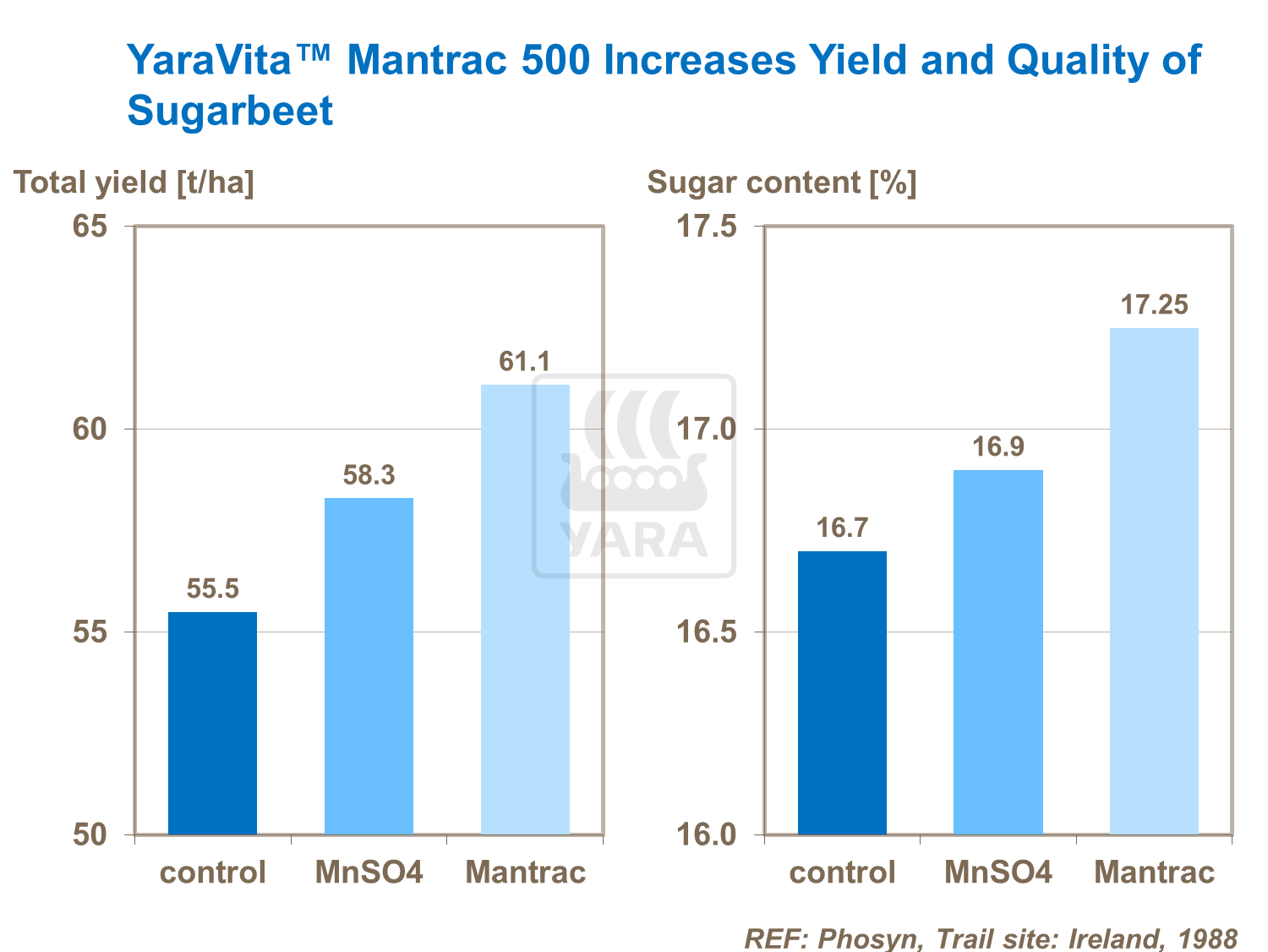 Sugar Beet Quality 7