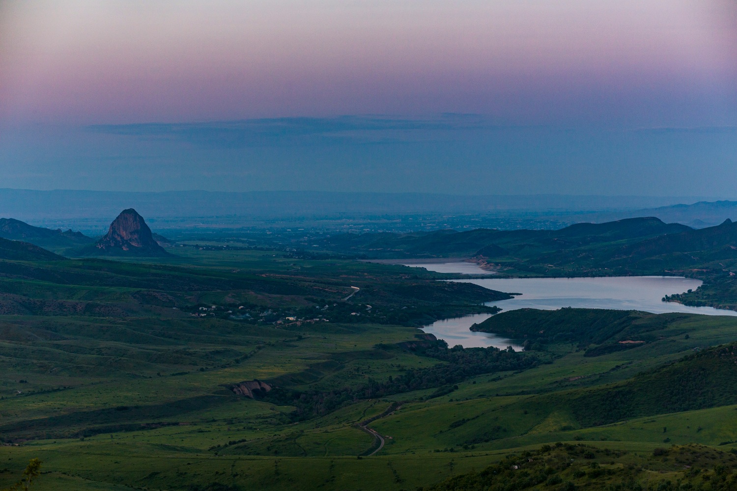 Дистрибьюторы