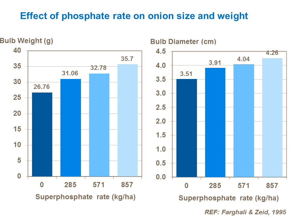 Phosphorous effect