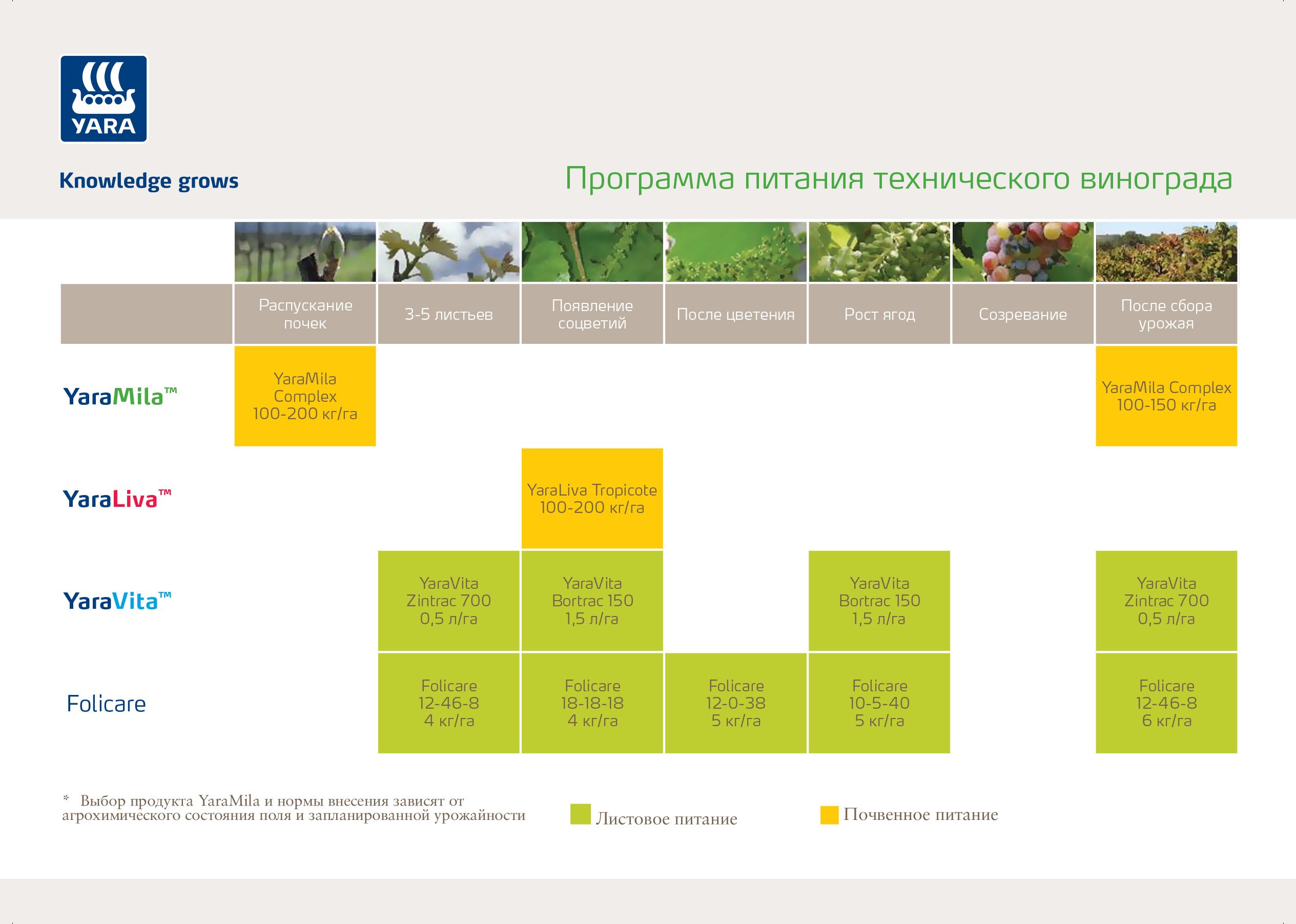 Питание винограда