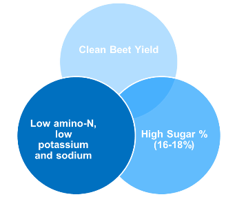 Sugar Beet Quality