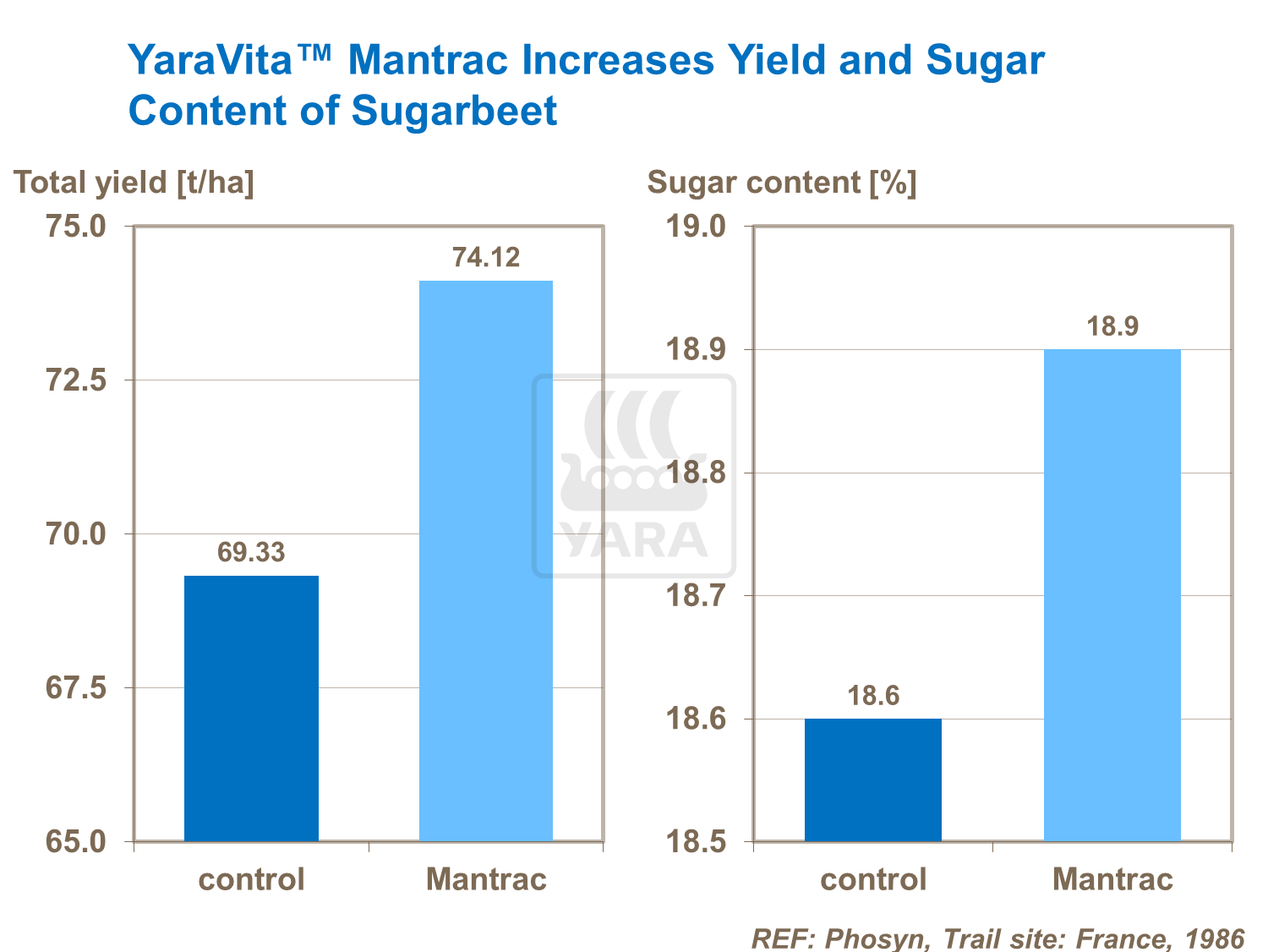 Sugar Beet Quality 8