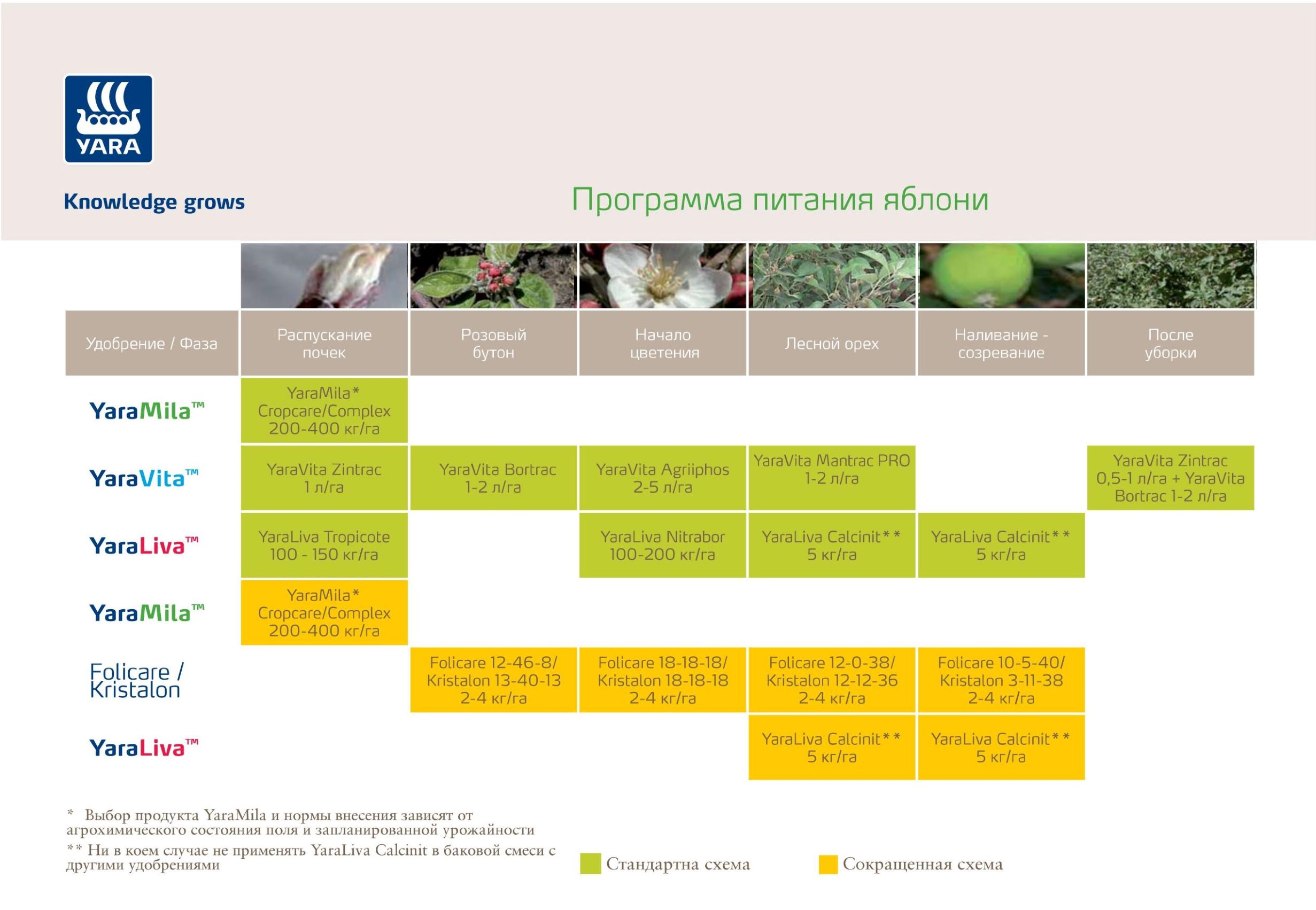 Питание яблони